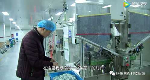 生態科技新城 以創新引擎助推民營經濟發展，多名企業家榮獲“科技企業家”稱號